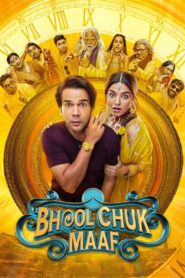 Bhool Chuk Maaf (2025) Hindi